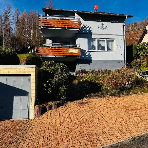 Haus Panoramablick，位于Sieber的酒店
