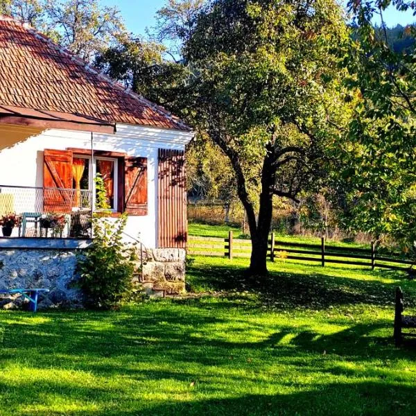 Kuća u planini T Polje Subjel，位于Ševrljuge的酒店