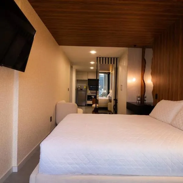 Lujoso Estudio en la Carolina，位于基多的酒店