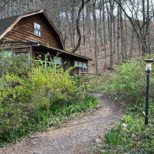 Woodhaven, darling romantic cabin, ATV trails, Mena, AR，位于Mena的酒店