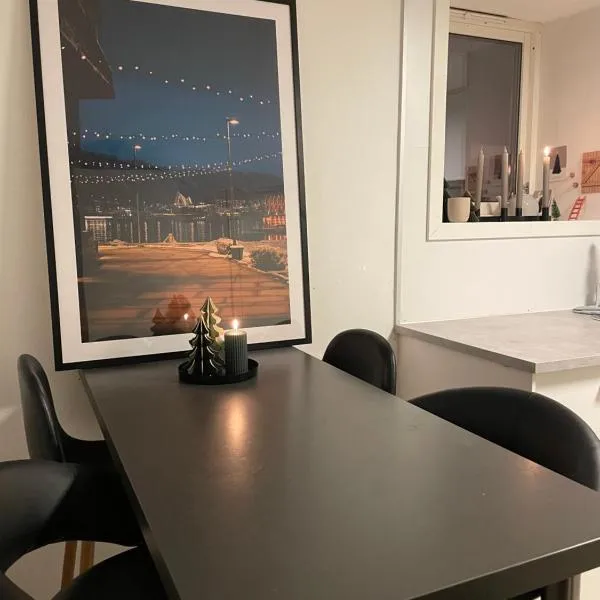 Tromso budget apartement，位于特罗姆瑟的酒店