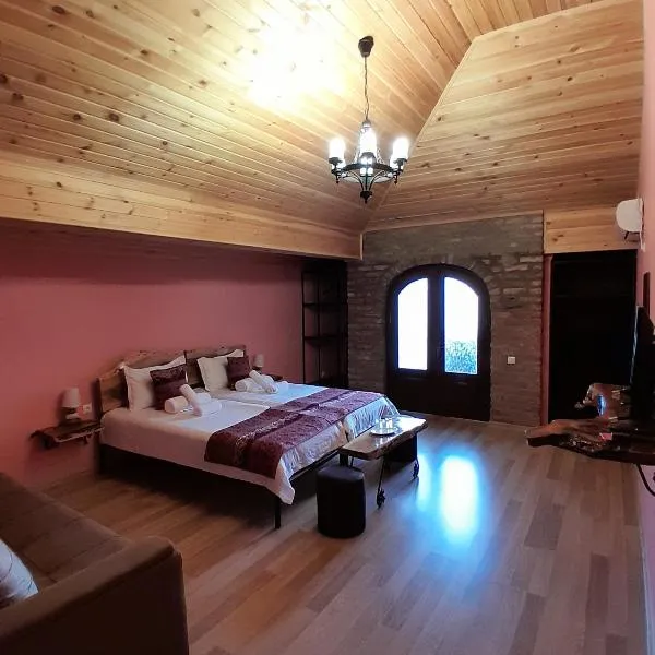 Château Fort de Manavi, Boutique Hotel，位于Manavi的酒店