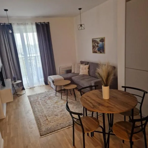 Ribica Apartments，位于伊利扎的酒店