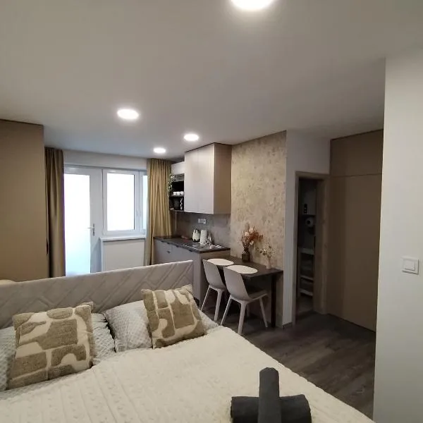 Štúdiový apartmán pri parku，位于Solčany的酒店