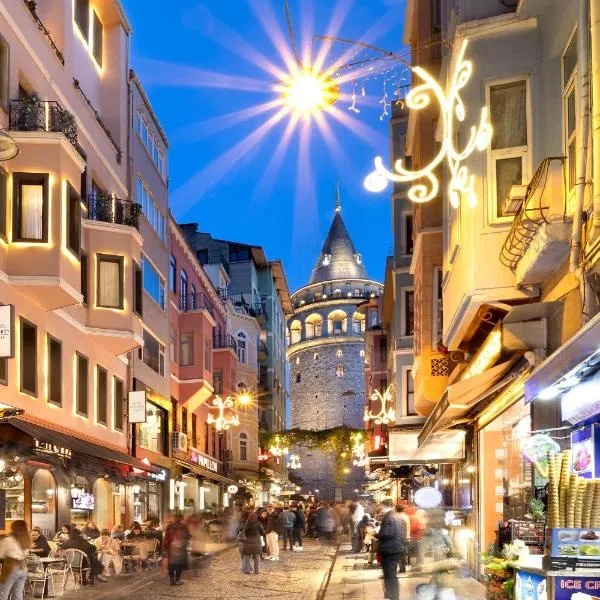 Hotel Des Arts Galata,位于伊斯坦布尔的酒店