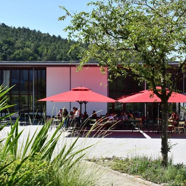 Bildungshaus Arbogast，位于格齐斯的酒店