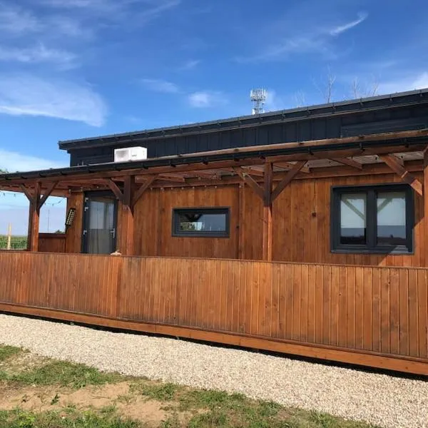 Domek na wsi - BALYSOWKA，位于Bielawy的酒店