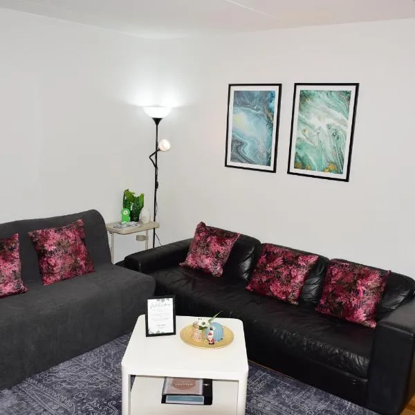 Nice and Cozy 2 bedroom apartment in Oslo Central，位于奥斯陆的酒店