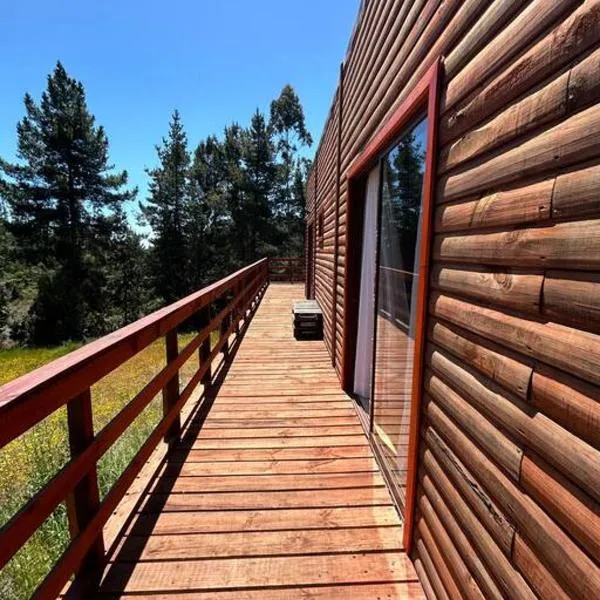 Casa Eco Bosque，位于皮奇勒姆的酒店