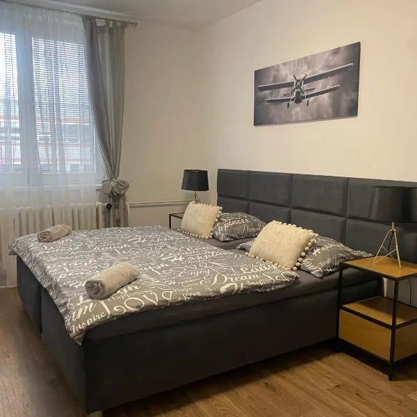 Černá Růže - Apartmán 3，位于比尔森的酒店
