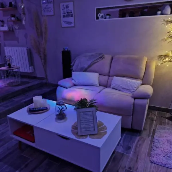Studio avec jacuzzi , terrasse amenagée et wifi à Westrehem，位于Westrehem的酒店