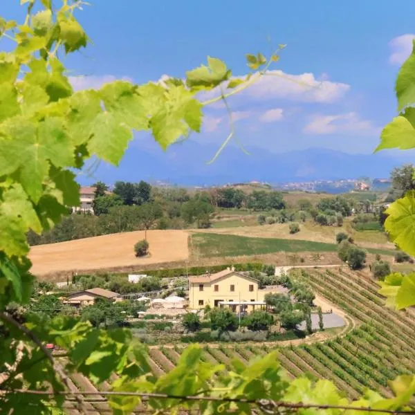Terra di Ea，位于托尔托雷托的酒店