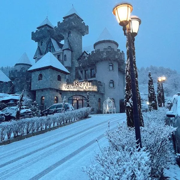 Royal Valentina Castle，位于莱什顿的酒店