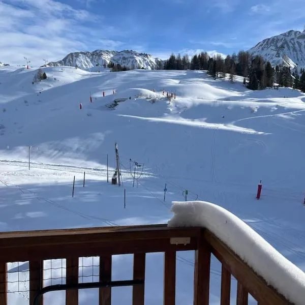 Aollets La Plagne appartement 5 pers sur piste ski in out，位于La Plagne Tarentaise的酒店