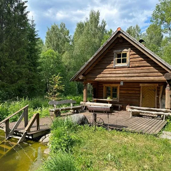 Koplimadise Palkmaja，位于Maeru的酒店