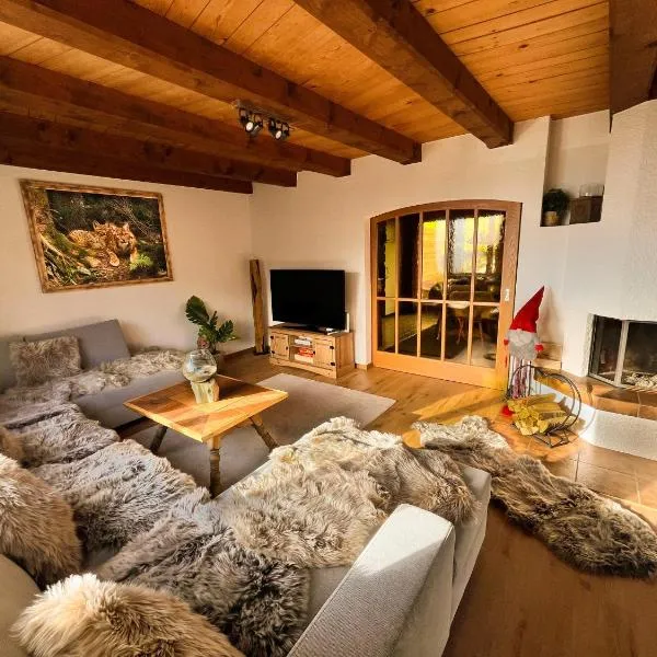 Chalet Bergdoktor，位于艾姆敦的酒店