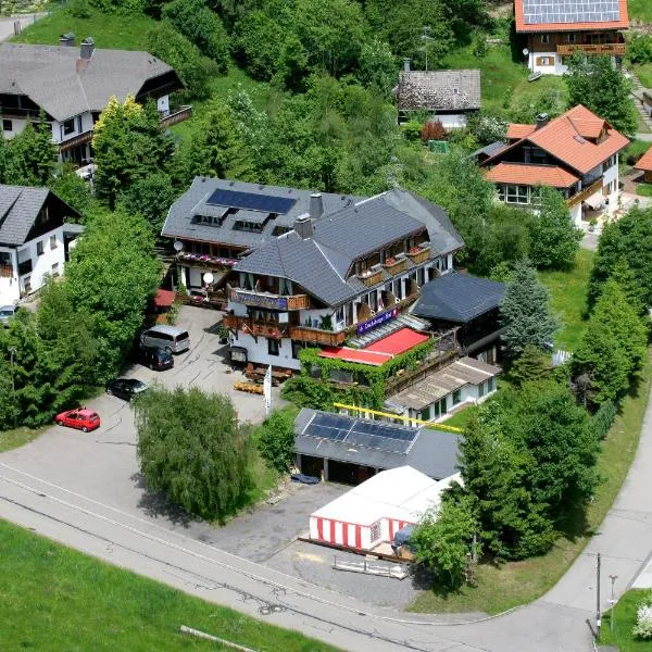 Hotel Dachsberger-Hof，位于Dachsberg im Schwarzwald的酒店