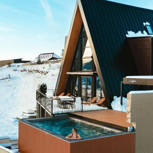 Euphoria - luxury villa，位于弗拉西克的酒店