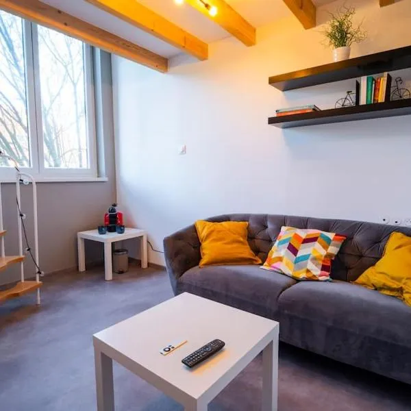 Studio mezzanine à 20 min de Strasbourg，位于Duttlenheim的酒店