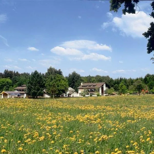 Waldhotel Geländer，位于Schernfeld的酒店