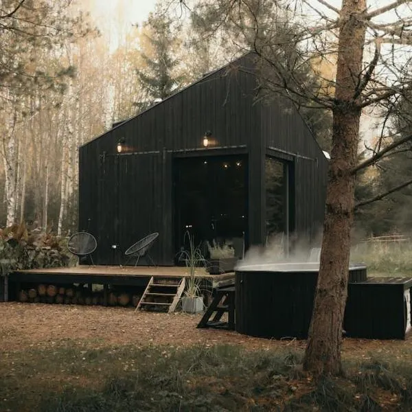 Briežu Stacija Off Grid Cabin，位于Straupe的酒店