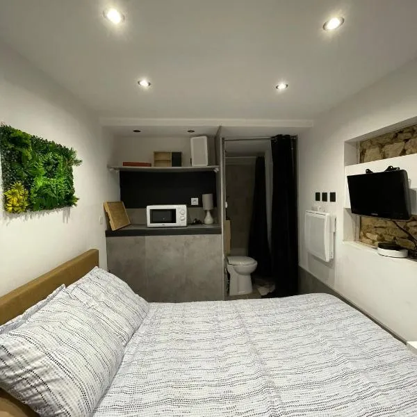 Studio Coligny，位于Coligny的酒店