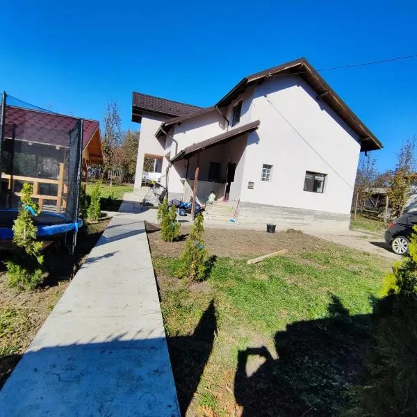 Casa Noastra，位于Drajna de Sus的酒店