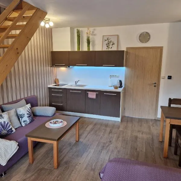 Apartmány Sophia 5 a 6，位于大洛西尼的酒店