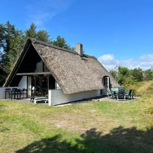 Charmerende sommerhus - natur, hygge og ro，位于灵克宾的酒店