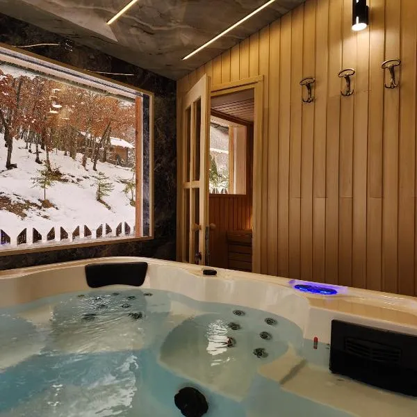 Koliba Pčelica 1-SPA，位于比耶洛波列的酒店