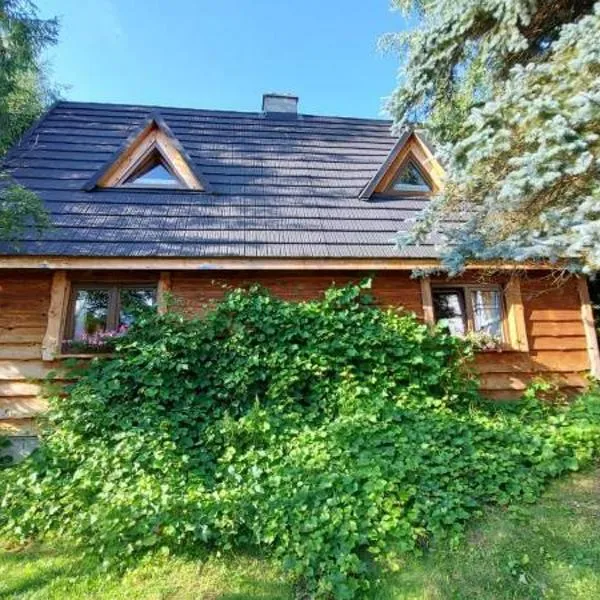 Dwerniczówka，位于Dwernik的酒店