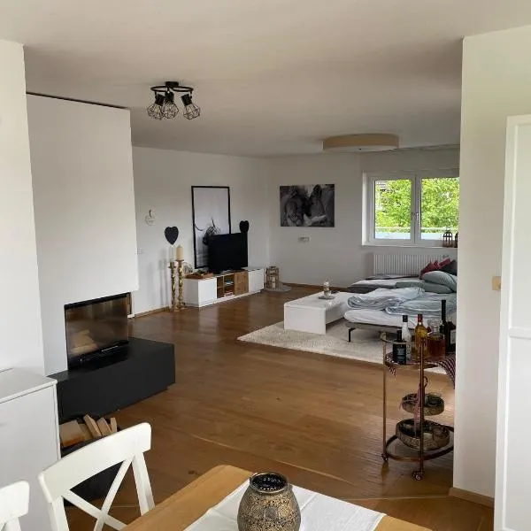 Moderne grosse Wohnung，位于Sipbachzell的酒店