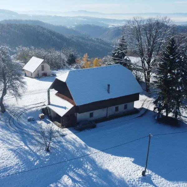 Hisa na Zlatem polju，位于Lukovica pri Domžalah的酒店