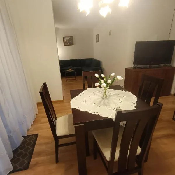 Apartament przy Długiej，位于Karsin的酒店