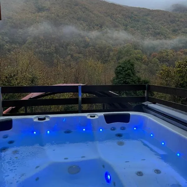 Forest view Aggeliki，位于卡尔派尼西翁的酒店