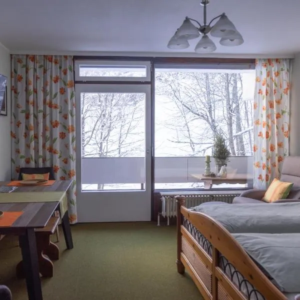Morgenlicht Apartment，位于巴德加斯坦的酒店
