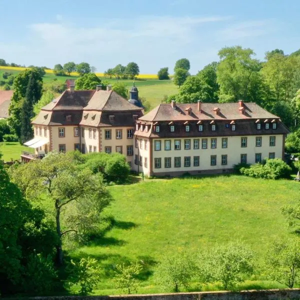 Luxuriöse Design Wohnung am Barockschloss 150 m2，位于Zeitlofs的酒店