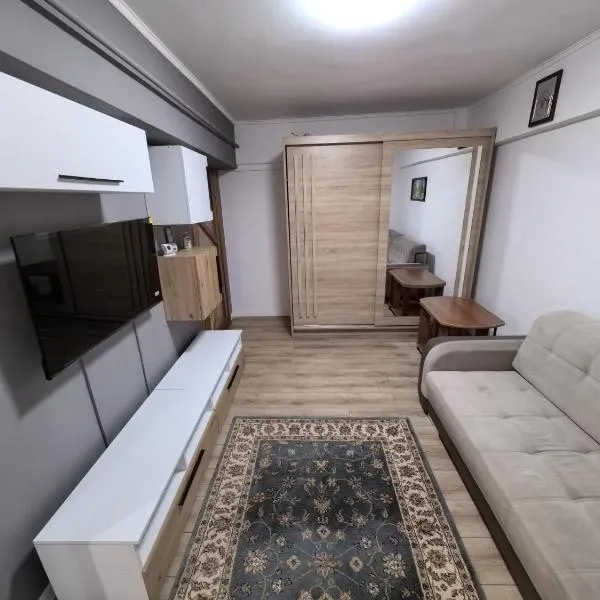 Fabian home central，位于弗尔蒂切尼的酒店