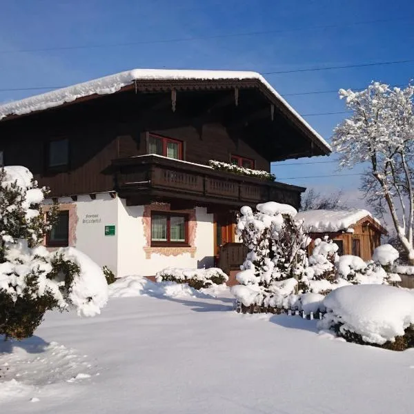 Schleicherhof IV，位于齐勒谷地施特拉斯的酒店