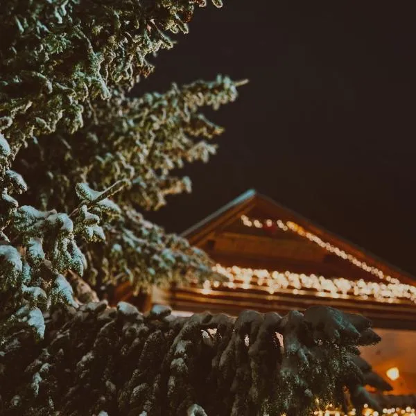 Villa "Pahulja" - Vlašić，位于弗拉西克的酒店