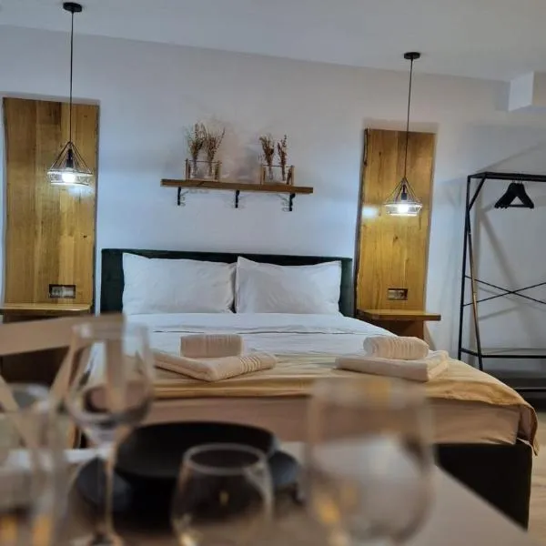 Nova Studio Apartments，位于雷京的酒店