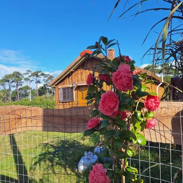 La Cabaña de Emma，位于拉帕洛马的酒店