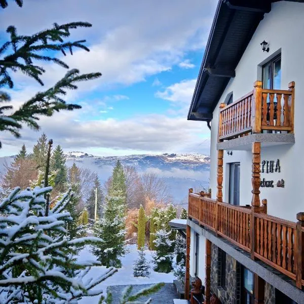 Alpina Deluxe Panoramic，位于莫伊塞的酒店