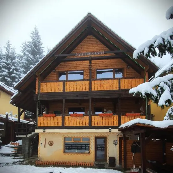 Cabana "Trei Brazi " Retezat，位于莫里河乡的酒店