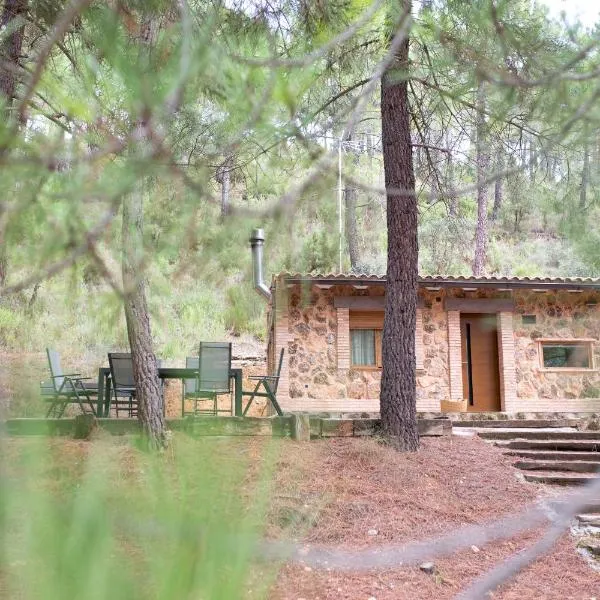 Casa Rural Riópar, luxury in nature，位于里奥帕尔的酒店