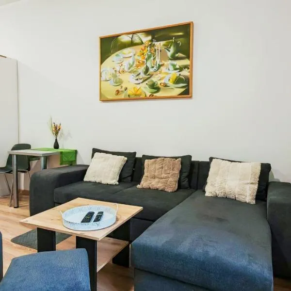 Apartament na Okrężnej，位于希维博津的酒店