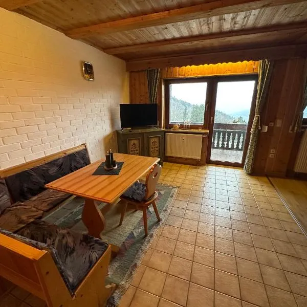 Uriges Apartment + Schönblick + mitten im Bayerischen Wald + WLAN kostenfrei，位于Schöfweg的酒店