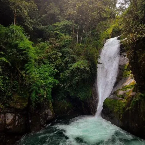 Cloudbridge Nature Reserve,位于Herradura的酒店