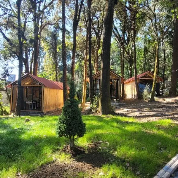 Cabañas Vive el Bosque，位于Coajomulco的酒店