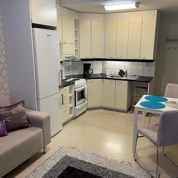 Aarni - SimpleStudio in Tornio，位于托尔尼奥的酒店